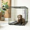 Double-Door Foldable Metal Wire Dog Crate with Divider and Tray, X-Large, 42"